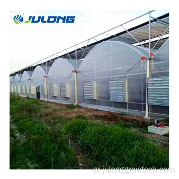 Multi Span Tomato Material Material Agricultural Greenhouse